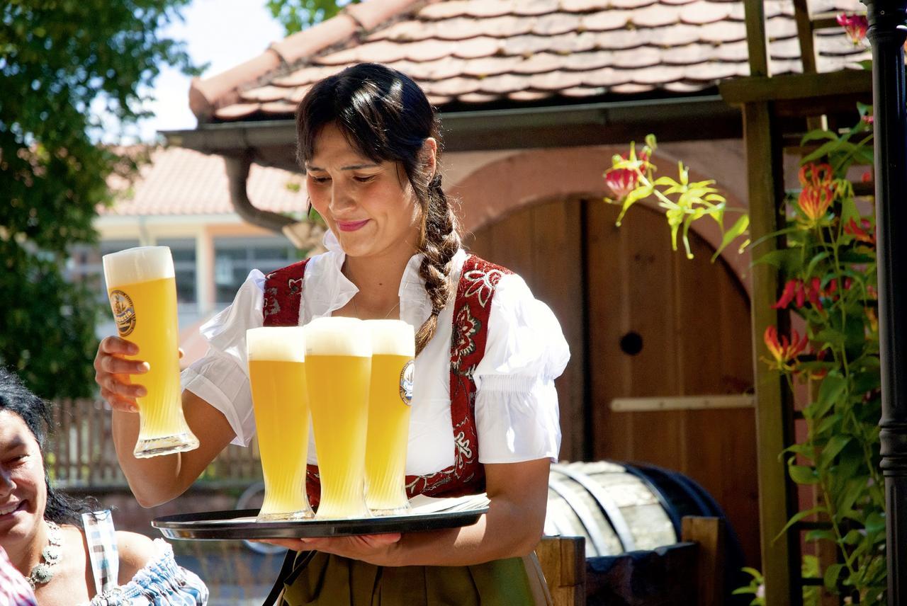 Landgasthaus Roemerhof Обернхайм на Майн Екстериор снимка